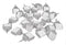 White Reflective Wing Tacks (Pack of 50) Trail Tacks, Glow Tacks, Hiking Markers, Trail Marking Tacks, Reflective Thumb Tacks for Hunting, White T...