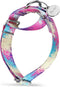 Martingale Dog Collars Colourful Oil painting Pattern series - No Pull Pet Collar Silky Soft for Medium and Large Dogs (X-Small, 5/8 Inch Wide, Pr...
