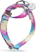 Martingale Dog Collars Colourful Oil painting Pattern series - No Pull Pet Collar Silky Soft for Medium and Large Dogs (X-Small, 5/8 Inch Wide, Pr...