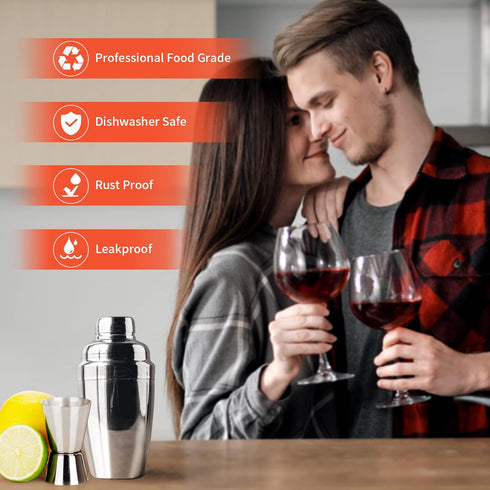 Newness Cocktail Shaker, Stainless Steel Martini Shaker, Drink Shaker Built-in Strainer, Professional Stainless Margarita Mixer, Bartender Kit Gif...