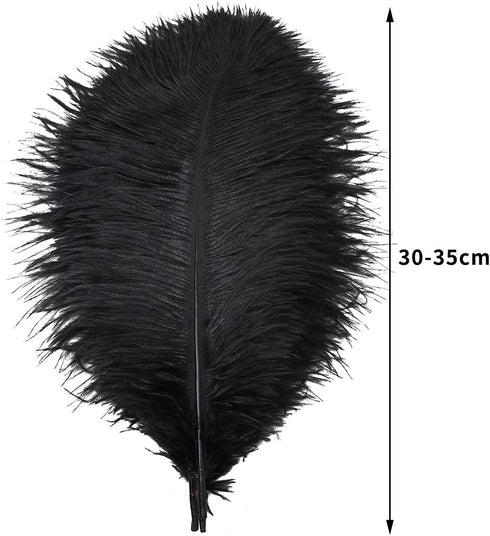 12pcs Natural Black Ostrich Feathers 12-14inch (30-35cm) for Wedding Party Centerpieces?Flower Arrangement and Home Decoration....