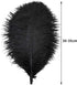 12pcs Natural Black Ostrich Feathers 12-14inch (30-35cm) for Wedding Party Centerpieces?Flower Arrangement and Home Decoration....