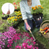 Stainless Steel 13" Crack Weeder, Crevice Weeding Sickle Manual Weeder Lawn Yard Garden Sidewalk Tool...