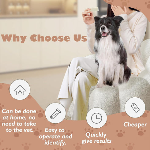 Dog Pregnancy Test Kit at Home, Canine Pregnancy Test Strip for Dog with Buffer Fast and Accurate Detection Pet Clinic Equipment...