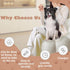 Dog Pregnancy Test Kit at Home, Canine Pregnancy Test Strip for Dog with Buffer Fast and Accurate Detection Pet Clinic Equipment...