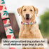Dog Collar, Cute Pet Collar Adjustable for Large Dogs, Soft Dog Collars with Quick Release Buckle for Walking Running Cute Strawberry...