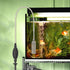 Fish Tank Cleaning Essentials: 8.5ft Aquarium Vacuum, Gravel Vacuum, and Siphon Pump for a Spotless Aquarium...