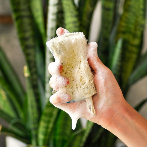SUPERBEE Natural Kitchen Sponges 10 Pack - Plant-Based Biodegradable Loofah Dish Sponge - Eco-Friendly, Zero-Odor, cleaning dirty dishes, pots, an...