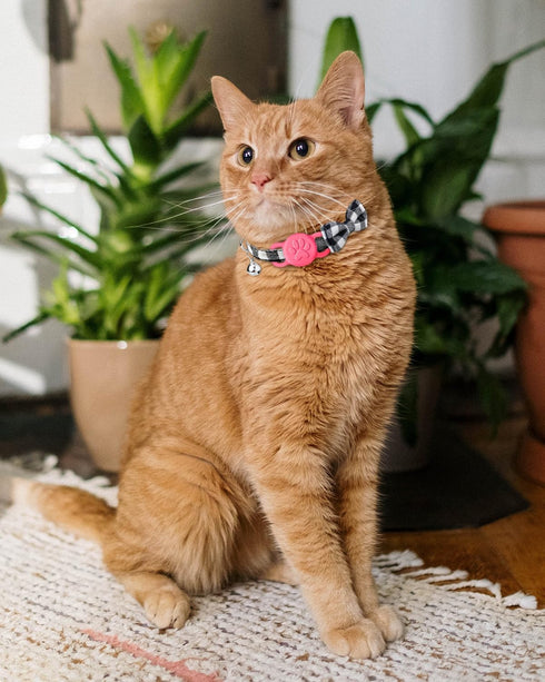 Joytale 2 Pack Cat Collar Airtag Holder,Elastic Silicone Air Tag Holder for Puppy Dogs Cats Kitten, Light and Durable Apple Airtag Holder with Sli...