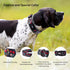 Dog Collar Cute Flower, Reflective Adjustable Basic Collars for Girl Female Small Medium Large Dogs Walking Running(Large,Black)...