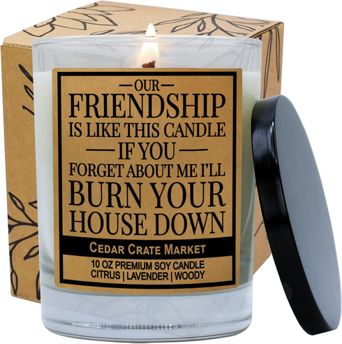 CEDAR CRATE MARKET Our Friendship is Like This Candle, Lavender Scented 100% Soy...