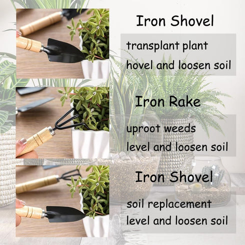 Garden Tool Set 3 Pcs Gardening Succulent Kit Wooden Handles for Small Hand Shovel Transplant Shovel Cultivator Hand Rake for Family Use...