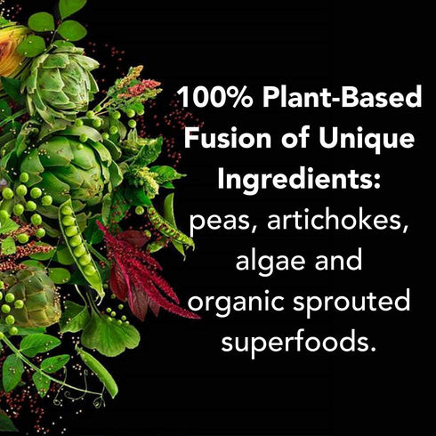 PlantFusion Complete Vegan Protein Powder Sample Packets - Plant Based Protein Powder Packets to-Go with BCAAs and Pea Protein - Keto, Gluten Free...