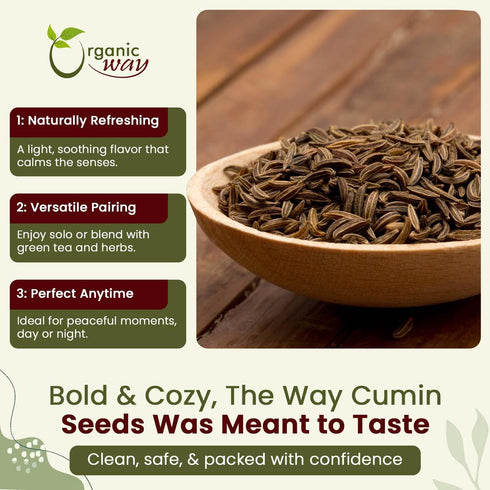 Organic Way Premium Cumin/Jeera Seeds Whole (Cuminum cyminum) - Adds Flavour & Aroma | Organic & Kosher Certified | Raw, Vegan, Non GMO & Gluten F...