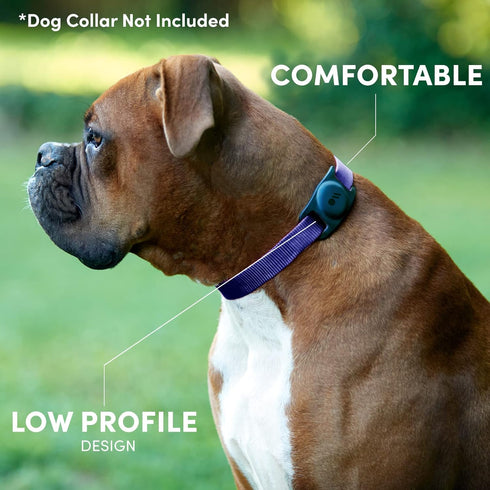 Case-Mate 2 Pack Airtag Dog Collar Holder - Water Resistant Airtag Holder Dog Tag - Lightweight Protective Airtag Case for Dog Collar - Pet Collar...