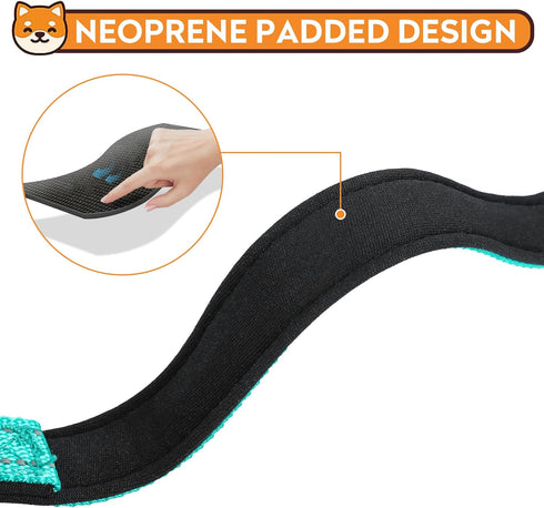 Reflective Dog Collar, Adjustable Soft Neoprene Padded Nylon Pet Collars with Buckle for Puppy and Small Dogs, Cats, Teal,XS...