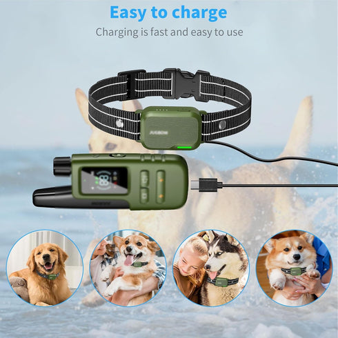 MEROM for Jugbow Dog Shock Collar Charger Replacement, Power Cable Compatible with Jugbow Dog Training Collar, 2-in-1 Magnetic Charging and USB Ty...