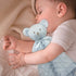 Pro Goleem Teddy Bear Lovey Baby Security Blanket for Boys and Girls Unisex Soft Lovie Baby Gifts for Newborn Toddler Snuggle Toy Stuffed Animal B...