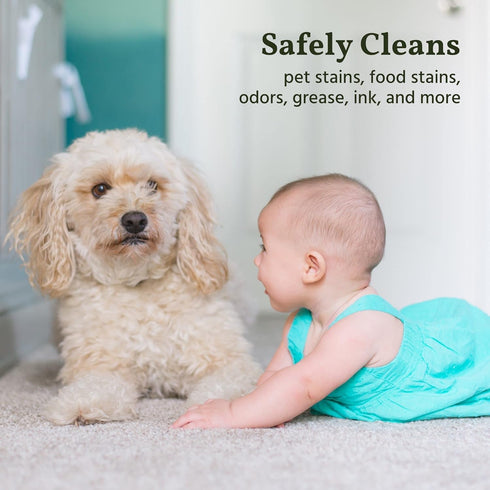 naturally it's clean Carpet Stains & Odors Cleaner; Plant Based Enzyme Safely Cleans Pet/Food Stains, Grease & Ink from Carpets, Rugs, Upholstery ...