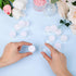 12Pcs Small Display Box Gemstone Holder Case Jewelry Show Box Container Holder with Clear Top Lids and Sponge...