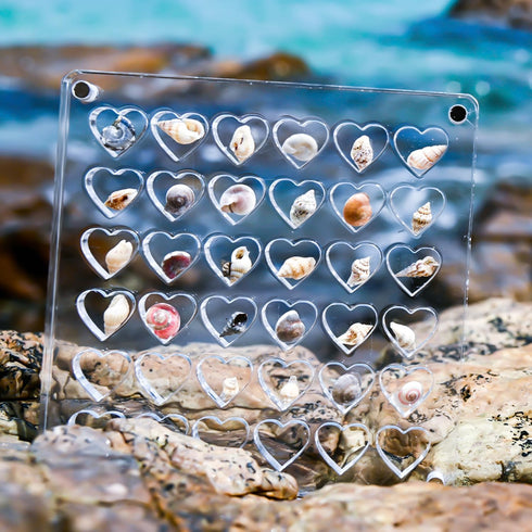 Acrylic Magnetic Seashell Display Box, Clear Small Craft Organizer Box Heart-Shaped Seashell Display Case Seashell Storage Box Container for Bead ...