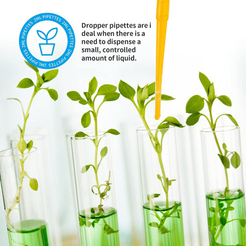 Teenitor 2ML Plastic Transfer Pipettes Eye Dropper 100PCS Disposable Pipettes Dropper, Plastic Pipettes for Essential Oils, Transfer Liquids for E...