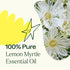 Plant Therapy Lemon Myrtle Essential Oil 10 mL (1/3 oz) 100% Pure, Undiluted, Therapeutic Grade...