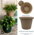 The HC Companies 7 Inch Round Classic Planter - Small Plastic Plant Pot for Indoor Outdoor Plants Flowers Herbs, Sandstone...