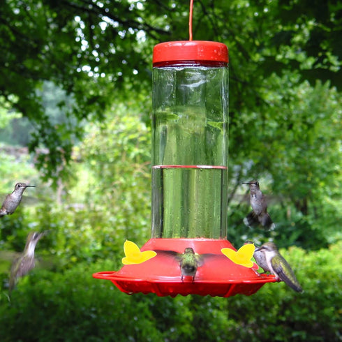 POPETPOP Hummingbird Feeders Replacement Flowers, Replacement Flowers for Hummingbird Feeders, Bird Feeding Ports Replacement Hummingbird Feeders ...