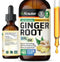 Ginger Root Tincture - Organic Ginger Root Extract - Natural Ginger Supplements for Overall Wellness - Alcohol and Sugar Free - Vegan Drops 2 Fl.O...