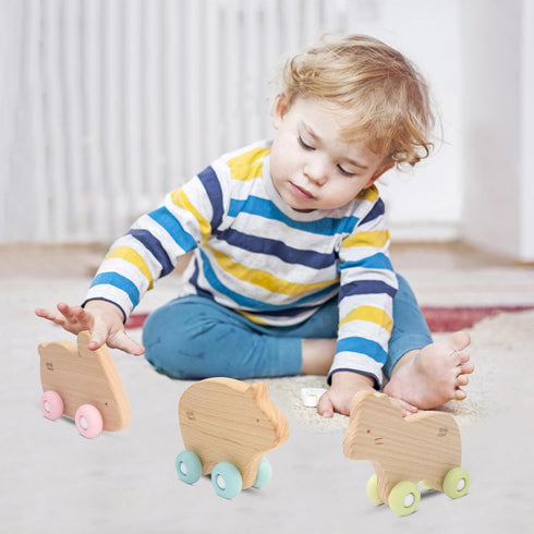 Wooden Baby Toys Car for Toddlers 1-3, Montessori Toys for Babies 0-6-12 Months, BPA Free, Phthalates Free, PVC Free, Wooden Baby Toys for 1 Year ...