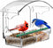 Clear Window Bird Feeder with 4 Strong Suction Cups and Detachable Seed Tray, Acrylic Birds Feeders for Outside Mounted Viewing Wild Birds Bird Ho...