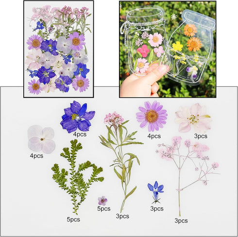 Cayway 170 PCS Real Nature Dried Pressed Flower Leaves, Pressed Flowers for Resin, Real Nature Pressing Floral Leaves for DIY Craft, Candle Scrapb...