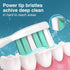 Aoremon Toothbrush Heads for Sonicare C2 Replacement Heads -Compatible with Phillips Sonicare Click-on Electric Toothbrush-10 Pack...