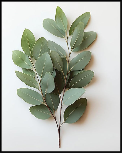 Posterizer 1 pcs-plant leaves-Chic art for plant lovers 3-Floral & Botanical Art-Workplace & Office Art-Living Room Bedroom Decor- unframed wall a...