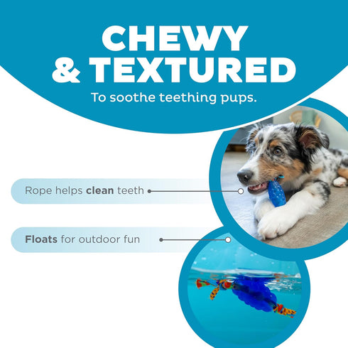 Outward Hound Mini Orka & Friends Fox Dog Toys 2-Pack – Dental Dog Chew Toy and Tough Plush Squeaky Dog Toy, Orange, XS...