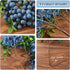 HUIANER Artificial Berries, 4pcs Artificial Blueberry with Stems Christmas Lifelike Fruits Fake Blueberries Simulation Flowers for Valentine's Day...