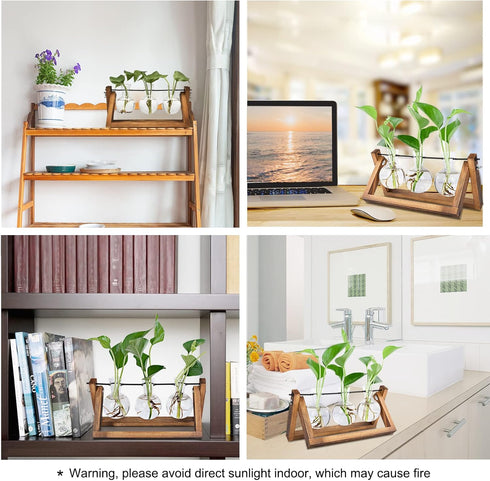 Plant Propagation Station, Plant Terrarium with Wooden Stand, Unique Gardening Birthday Gifts for Women Plant Lovers, Home Office Garden Decor Pla...