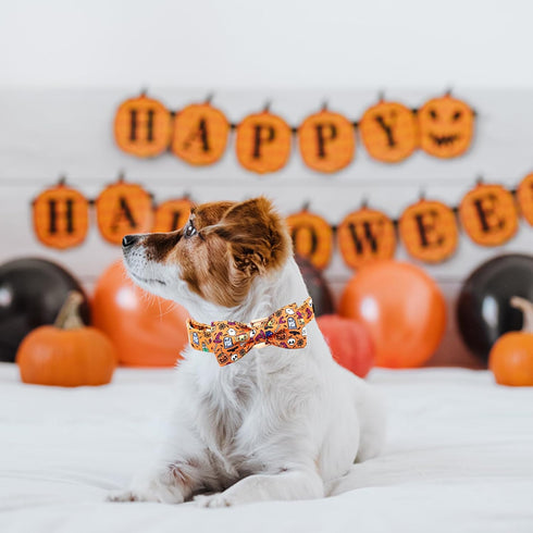 Elegant little tail Dog Collar, Fall Dog Collar Pumpkin Holiday Pet Collar Dog Halloween Dog Bow Collar Pet Durable Adjustable Girl Boy Dog Collar...