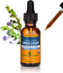 Herb Pharm Certified Organic Skullcap Liquid Extract for Nervous System Support, 1 Fl Oz...