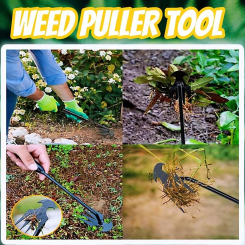Weed Puller Tool, Weeding Artifact Uprooting Removal Tool, 4 Teethes Dual Purpose Manual Weeders, Multifunctional Tools for Garden Weeding (2PCS 1...