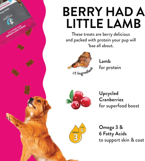 Shameless Pets Jerky Dog Treats, Berry Had A Little Lamb - Healthy Dog Chews for Skin & Coat Support with Omega 3 and 6 - with Real Premium Lamb a...