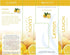 SpaRoom Aromatherapy 100% Pure Essential Oils for Diffusers and Air Freshners, Cleanse Lemon, 10 mL...