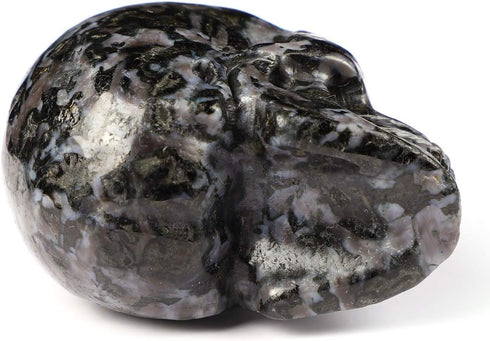 Skullis 2.0" Gabbro Crystal Skull, Hand Carved Gemstone Fine Art Sculpture, Reiki Healing Stone Statue....