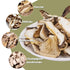 VIGOROUS MOUNTAINS Dried Mixed Mushrooms Blend for Cooking - Porcini Shiitake Oyster & Champignon - 3.53oz (100g) - Soft Texture Bold Flavor & Veg...