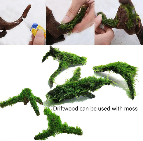 Tfwadmx 5PCS Aquarium Driftwood Branches Reptiles Trunk Driftwood Natural Wood Fish Tank Decoration Plant Stump Ornament Decor Assorted...