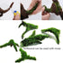 Tfwadmx 5PCS Aquarium Driftwood Branches Reptiles Trunk Driftwood Natural Wood Fish Tank Decoration Plant Stump Ornament Decor Assorted...