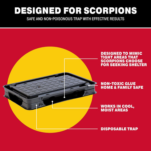 Catchmaster Scorpion Glue Tray Traps 6-Pack, Adhesive Scorpion Killer for Home, Simple Insect Traps Indoor, Sticky Bug Catcher for Kitchen, Garage...