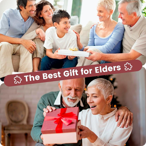 4 Pack 24 Large Piece Jigsaw Puzzles Dementia Alzheimer's Products and Activities for Elderly Seniors Puzzle Alzheimer's Cognitive Game Easy Puzzl...