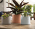 Bloem Mathers Planter w/Saucer Tray 6" Muted Terra Cotta...